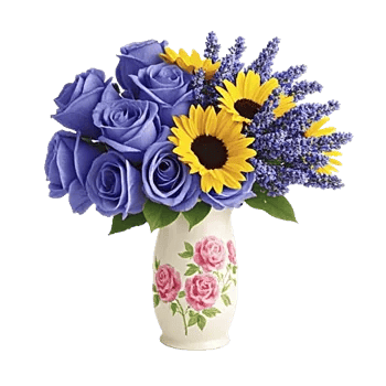 Elegant Blue Roses