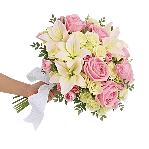 Delicate Petal Cascade
