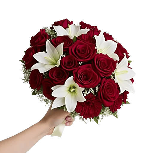 Blushing Rose Symphony