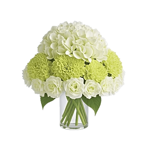 Delicate Petal Cascade