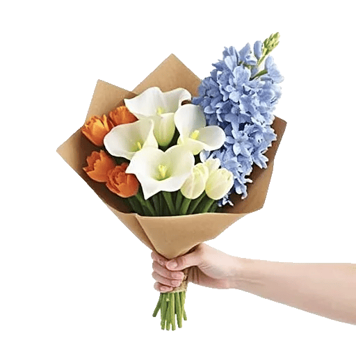 Elegant Calla Lilies