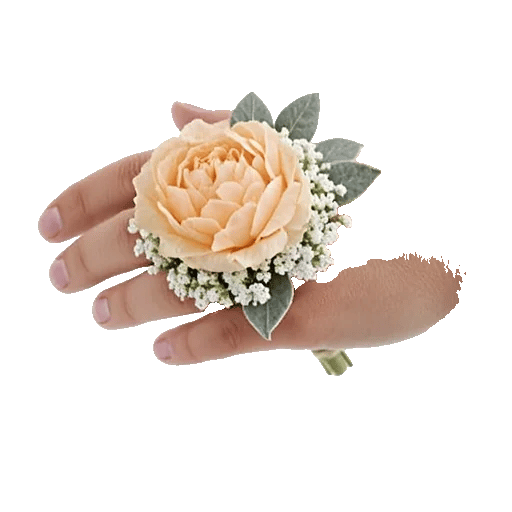 Serene Petal Harmony