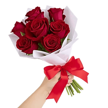 Crimson Rose Elegance