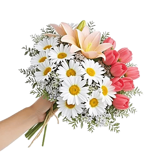 Blossom Harmony Display