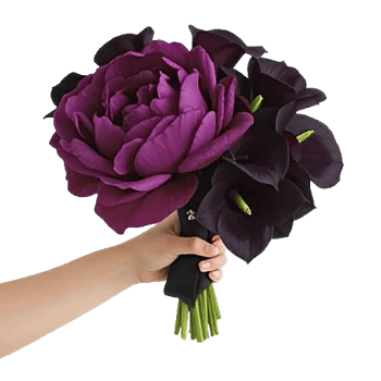 Peony Petal Harmony