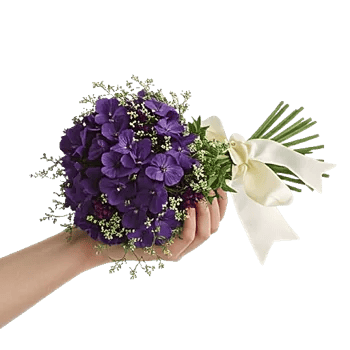 Rosemary Bloom Elegance