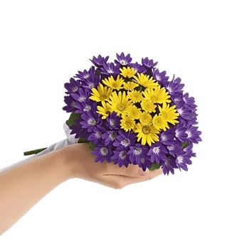 Enchanting Daisy Garden
