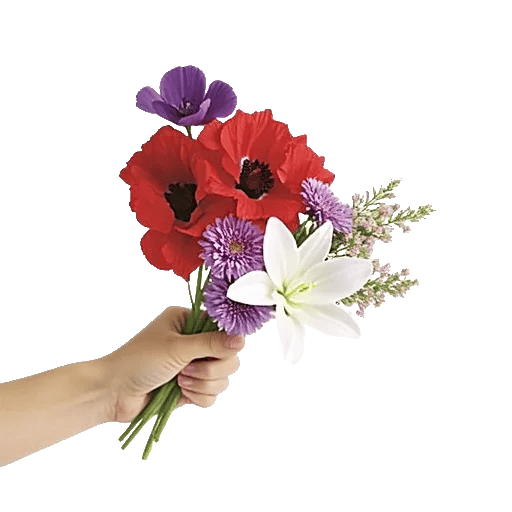 Blossom Harmony Display