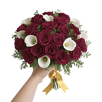 Blushing Rose Symphony