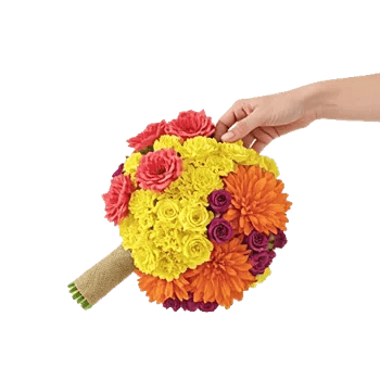 Coral Blossom Harmony