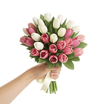 Blossom Harmony Display