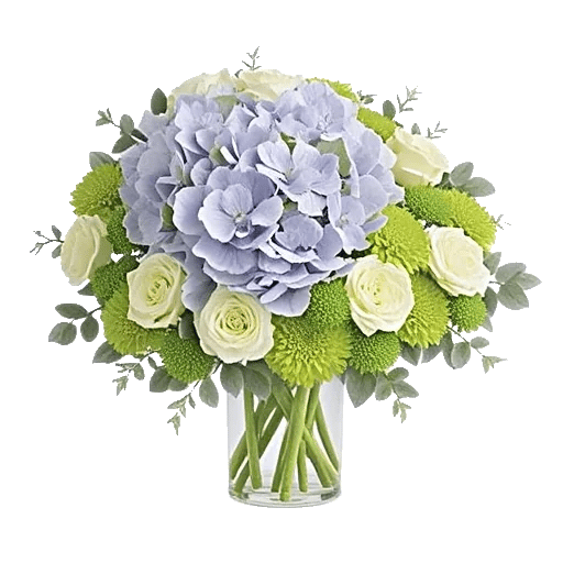 Sapphire Bloom Whisper