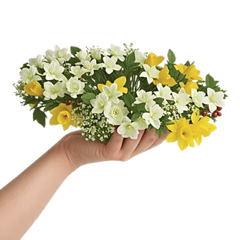 Ivory Blossom Radiance