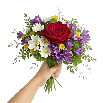 Crimson Rose Elegance