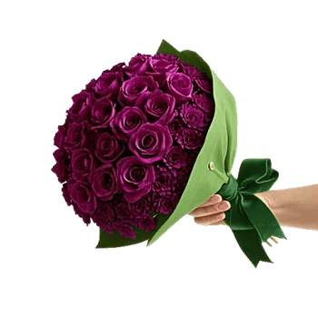 Velvet Tulip Display