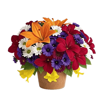 Blossom Glow Symphony