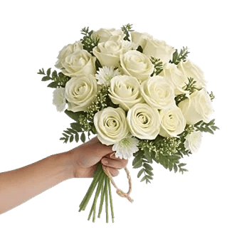 Ivory Garden Grace