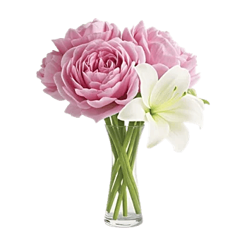 Ivory Blossom Radiance