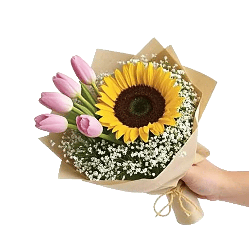 Blossom Harmony Display