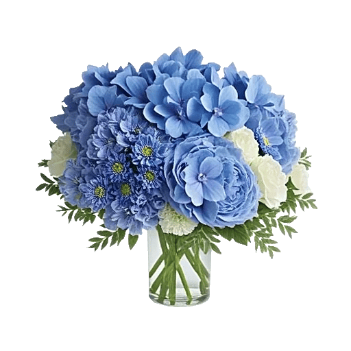 Sapphire Bloom Whisper