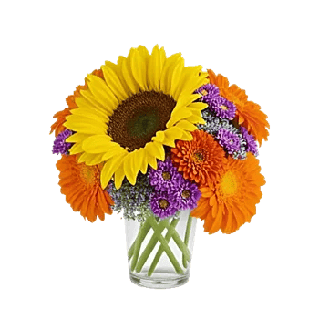 Sunny Blossom Burst