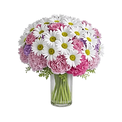 Petal Radiance Bliss