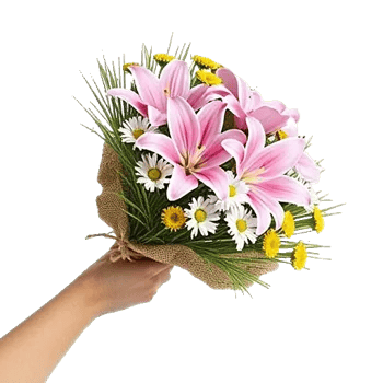 Blossom Harmony Display