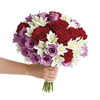 Blushing Rose Symphony