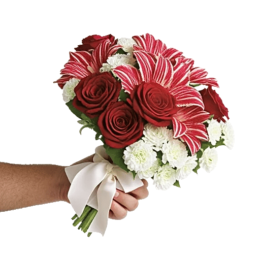 Crimson Blossom Harmony