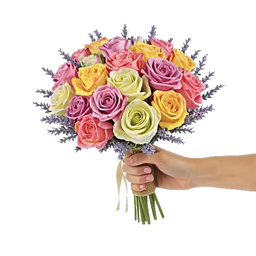 Pastel Pink Roses