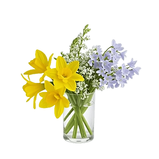 Ivory Blossom Radiance