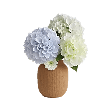 Ivory Blossom Radiance