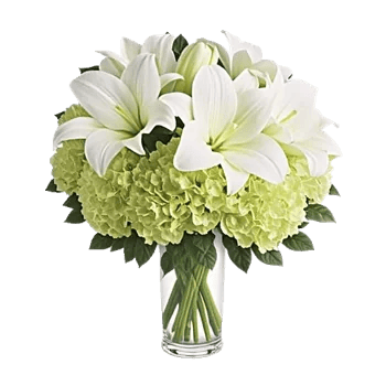 Ivory Blossom Radiance