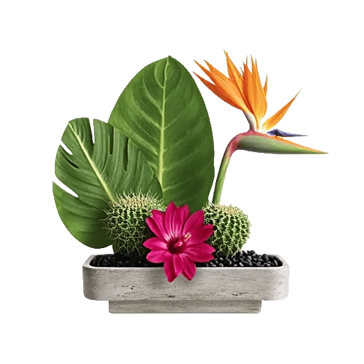 Petal Radiance Bliss