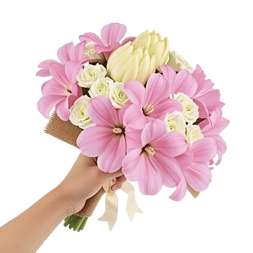 Blushing Rose Symphony