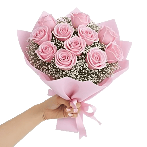 Pastel Pink Roses
