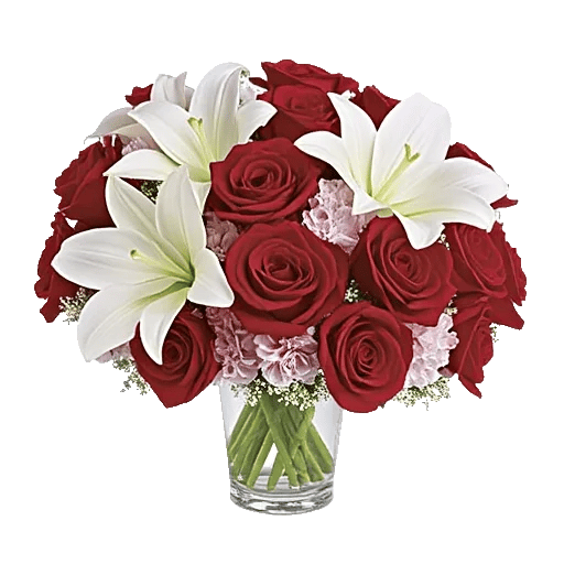 Crimson Rose Elegance