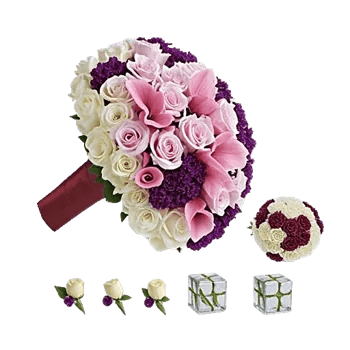 Elegant Calla Lilies