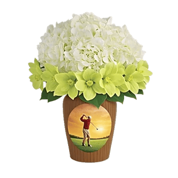 Modern White Orchids