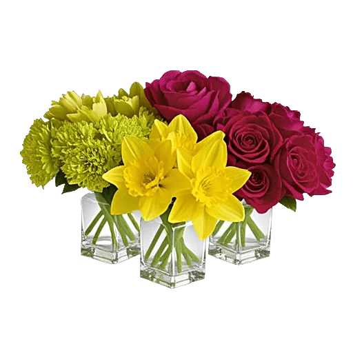 Petal Radiance Bliss