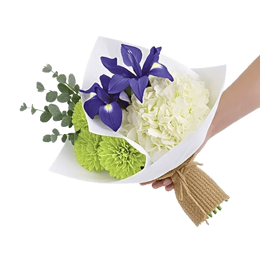 Ivory Blossom Radiance