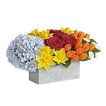 Blooming Serenity Display