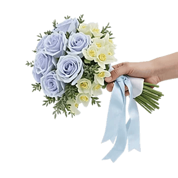 Elegant Blue Roses