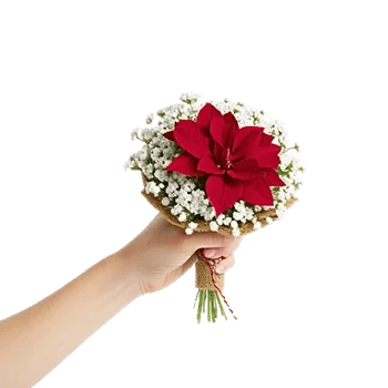 Delicate Petal Cascade