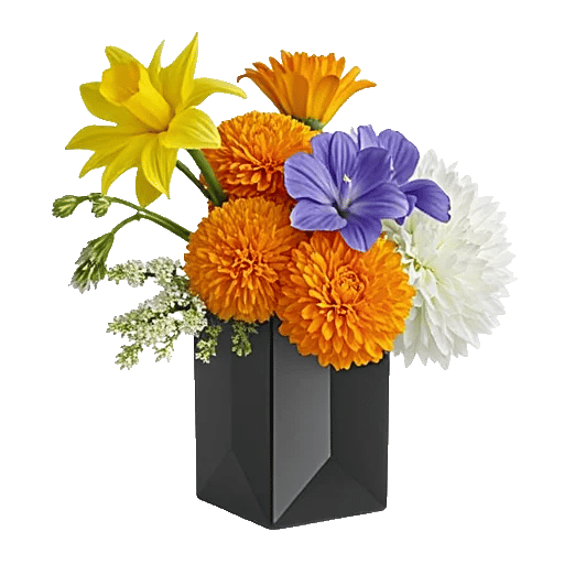 Petal Radiance Bliss