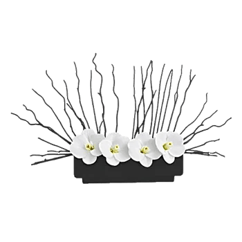 Modern White Orchids