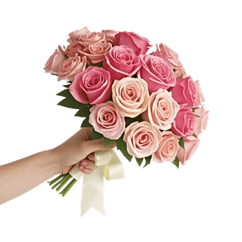Blushing Rose Symphony