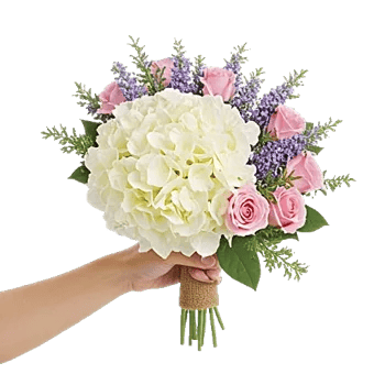 Serene Petal Harmony