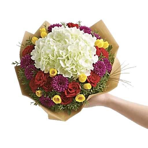 Serene Petal Harmony