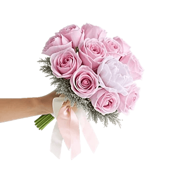 Pastel Pink Roses